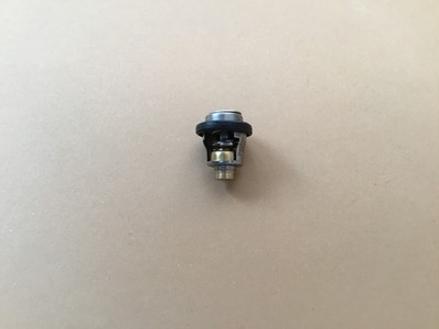 Thermostat 50ºC als für DF40 DF50 DF60 DF70 Suzuki 17670-93962 5030742