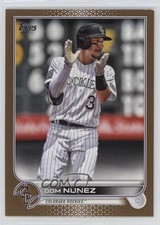 2022 Topps Series 1 Gold 1409/2022 Dom Nunez #193 ut4