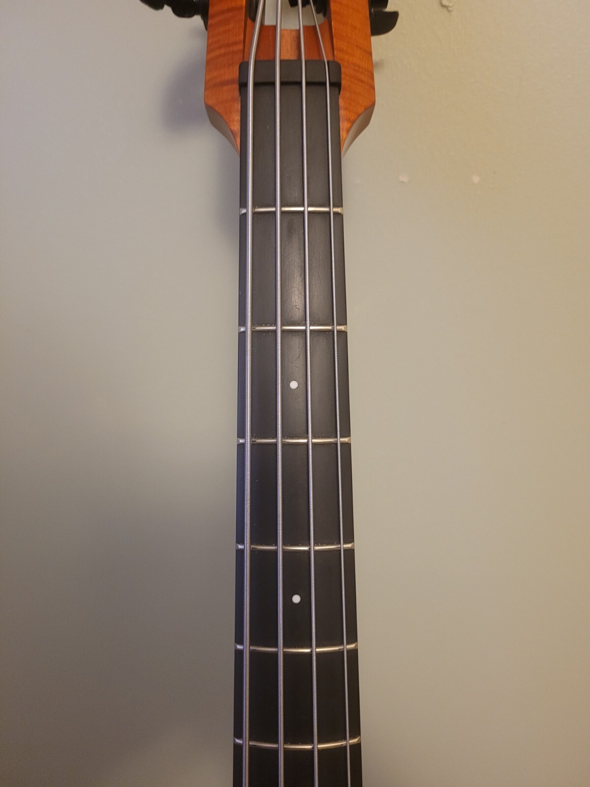 Steinberger Fretted Upright Electric Bass eBay