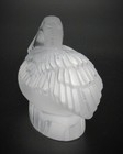 Foto 2 di 8