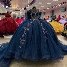 Princess Navy Blue Quinceanera Ball Gowns Floral Applique Bow Sweet Dresses