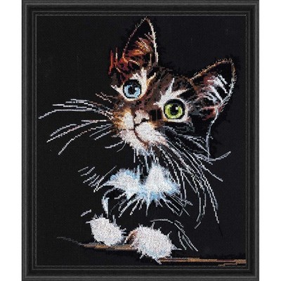 Abris Art Fluffy Kitten Kit & Frame Counted Cross-Stitch Kit