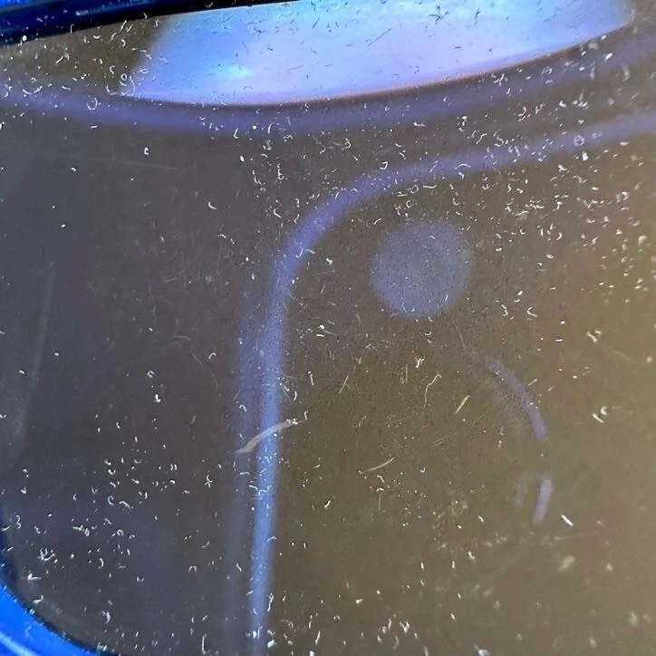 Julbo Shield Mountain Sunglasses, Blue/Green Frame, Spectron Brown Lens - Used - Image 4 of 4