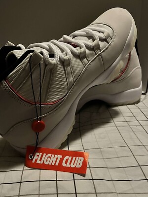 Size 11 Jordan 11 Retro Platinum Tint 2018 191888285167|