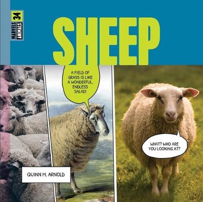 Quinn M Arnold Sheep (Taschenbuch)