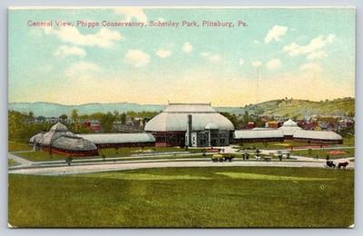Pittsburgh PA~Schenley Park~Phipps Conservatory General View~Carriage~c1910 PC