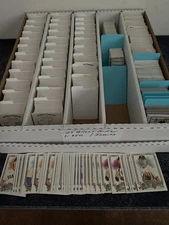 2025 Allen & Ginter,4 CARD MINIMUM, CARDS 201-350,20% OFF FREE SHIP !!