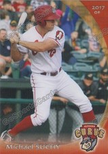 2017 Altoona Curve Michael Suchy RC Rookie Pittsburgh Pirates