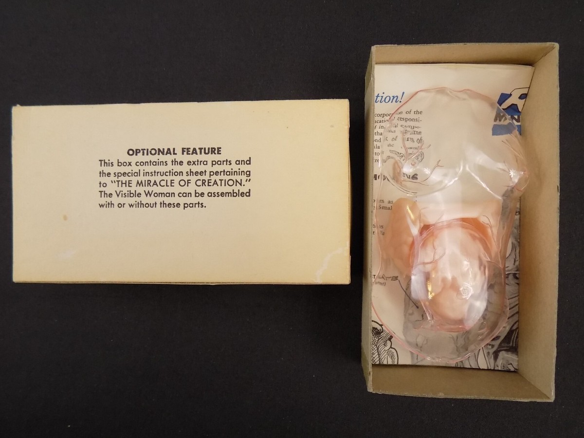 1960 Renwal The Visible Woman Model Kit & Miracle of Creation