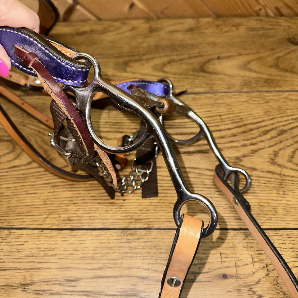 Circle Y Browband Headstall Bit Bridle Reins Metallic Purple Bling Show Set - Image 4 of 4
