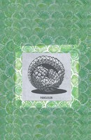 Pangolin | Stephen Moore | Englisch | Taschenbuch | 2024 | EAN 9781803817118