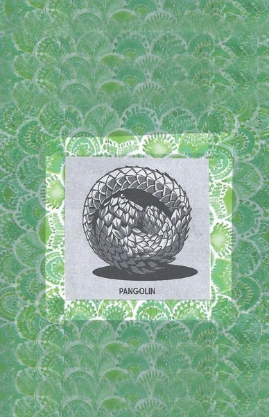 Pangolin | Stephen Moore | Englisch | Taschenbuch | 2024 | EAN 9781803817118-image