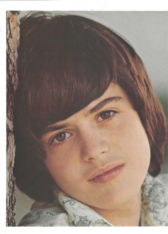 Donny Osmond Color Close Up 1970's Magazine Cut out