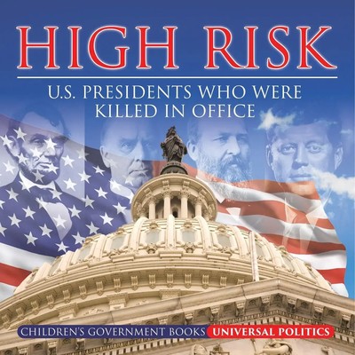 Universal Politics | High Risk | Taschenbuch | Englisch (2024)