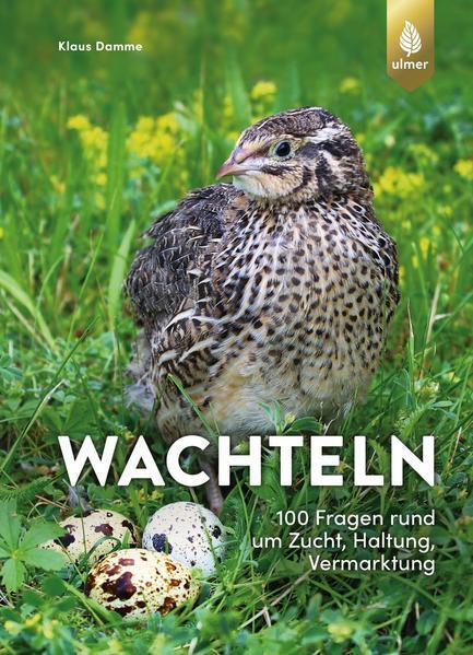 Thumbnail - Wachteln | Klaus Damme | 2022 | Deutsch