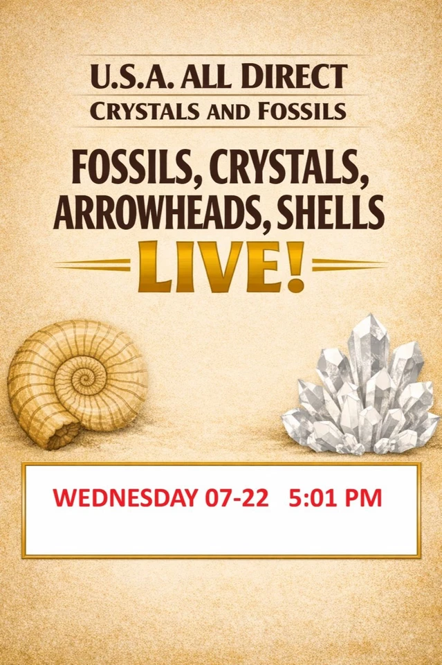 THE ROCK STOP - Crystals, Fossils, Minerals, Pet Wood
