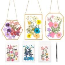 3 Pcs Double Glass for Pressed Flowers,Clear Brass Embossed Frame with Dried ...