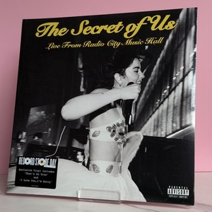 The Secret of Us Vinyl | eBay