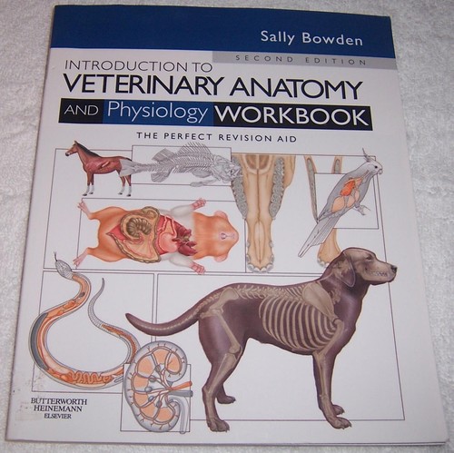Introduction to Veterinary Anatomy and Physiology Workbook Sally Bowden pb 2nd - Picture 1 of 2