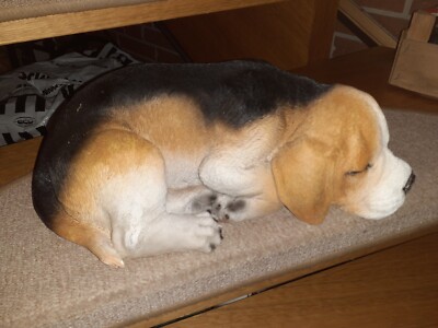 Dekohund / Gartenfigur Hund Beagel / sucht ein neues Zuhause