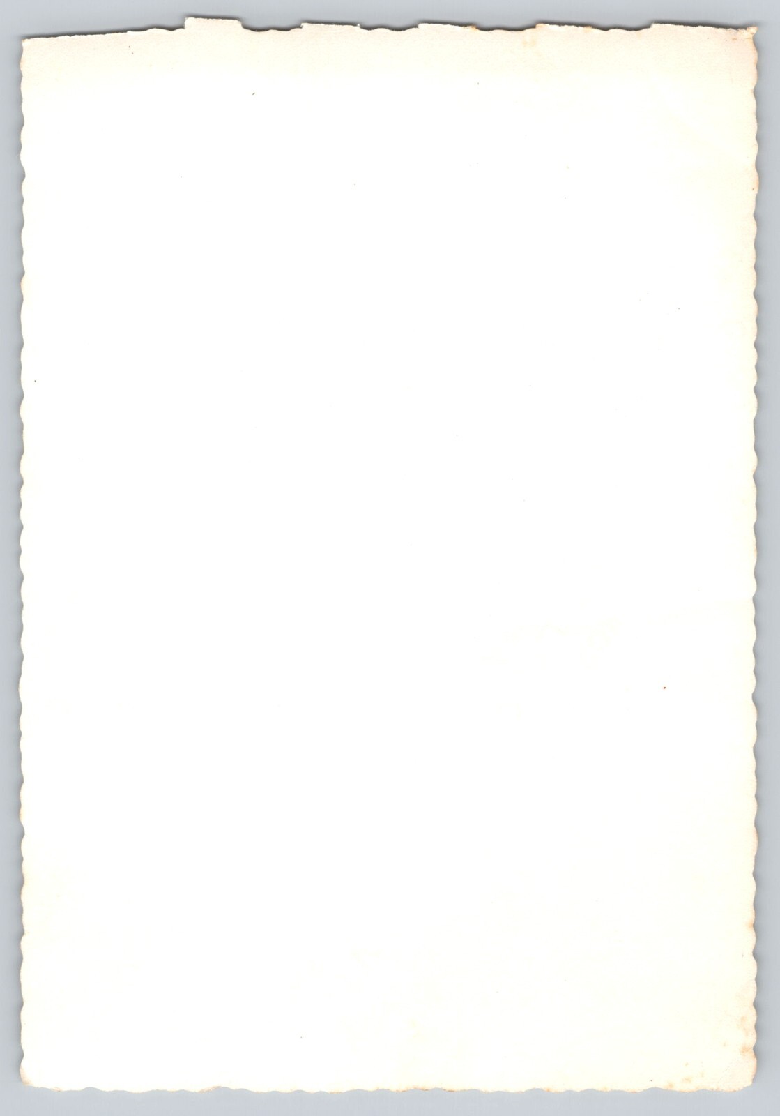 Foto 2 di 2