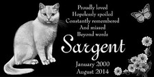 Personalized White Cat Butterfly  Dasies Pet Memorial 12x6 Granite Grave Marker