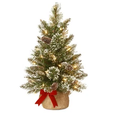New National Tree Company Pre-lit Artificial Mini Christmas Tree 2 FT