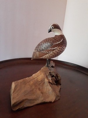 Quail Hand Carved and Painted Mounted on Wood