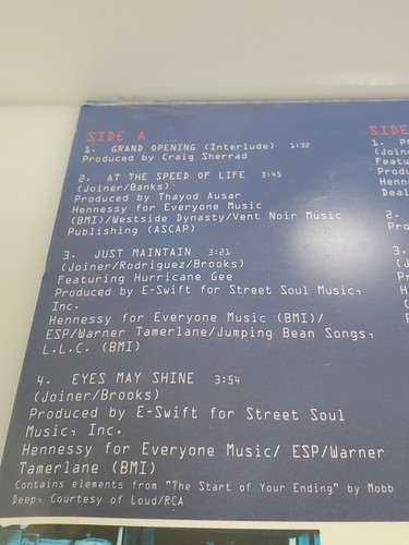 Xzibit ~ At The Speed Of Life 2LP Vinyl Set ~ Loud Records 1996 Sealed 1st Press - Picture 11 of 24