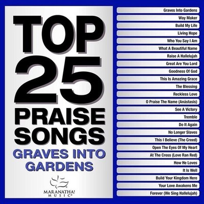 VARIOUS : TOP 25 PRAISE SONGS (CD) DISC + CVR ART - NO CASE - VG