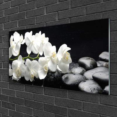 Tableau Décoratif Moderne Sur Verre - Motif Floral Rose Pierres - Dimensions 100x50 Cm - Neuf