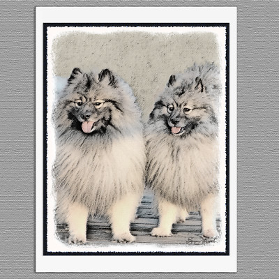 6 Keeshond Brothers Portrait Dog Blank Art Note Greeting Cards