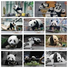 3D Panda Landscape Self-adhesive Wallpaper Removable Wallpaper Wall Mural