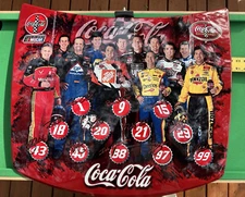 Nascar Coca-Cola Racing Family of Champions Collectible Wall Decor Mini Hood