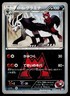 Team Magma's Mightyena 019/034 Common Double Crisis Pokemon Japanese HP
