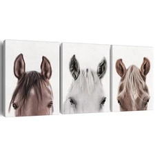 Horse Wall Art Decor Set of 3 Modern Animals Horse Canvas Painting Pictures F...