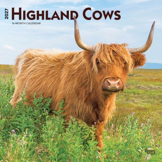 Highland Cows Calendar 2027, Wall Calendars, Month To View, Animals, Gift - Image 2