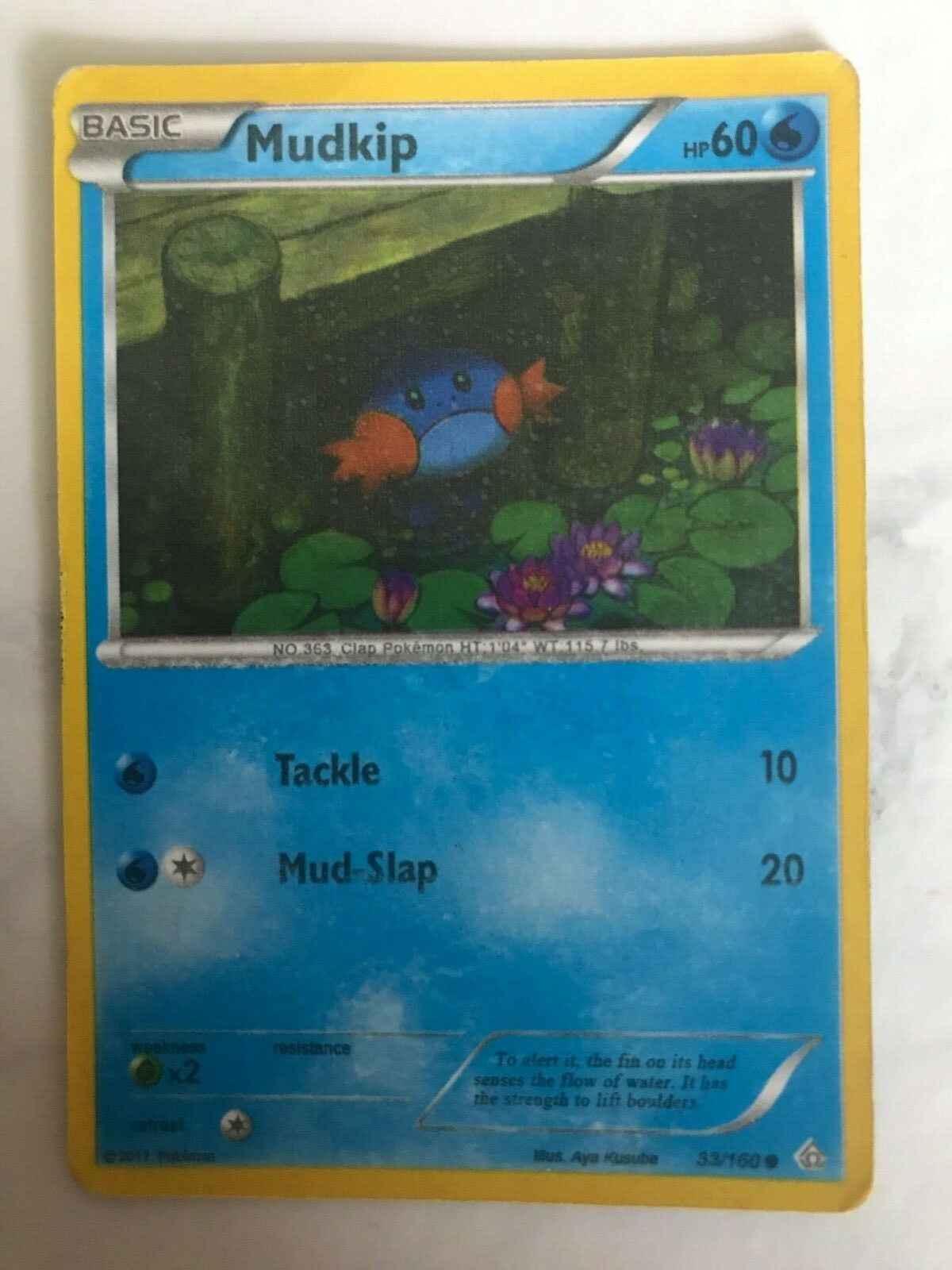Mudkip PROMO SHEEN HOLO 33/160 - Primal Clash - Near Mint/LP
