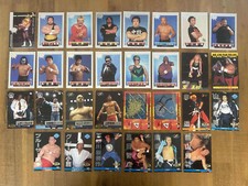 Japanese Women's Wrestling 20 Card Lot BBM Joshi Meiko Satomura JWP LLPW