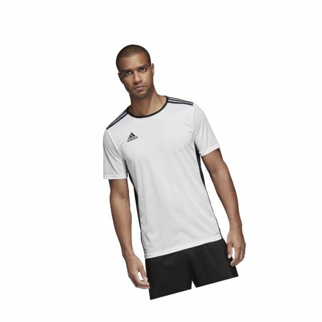 adidas men's soccer entrada 18 jersey