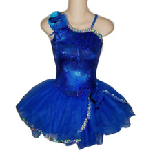 Blueberry Pie Child X-Large Dance Costume Ballet Tutu Multicolored Foil Dress