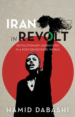 IRAN IN REVOLT by DABASHI, HAMID Paperback Self Help Business