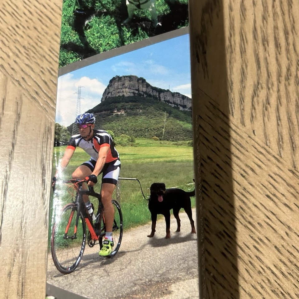 Nueva correa de bicicleta para perros - Fácil instalación de quitar - Mango de acero y negro Foto 4 de 4