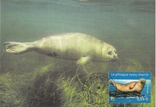 Carte 1er jour Nature Animaux Marin Le Phoque veau marin 2002 