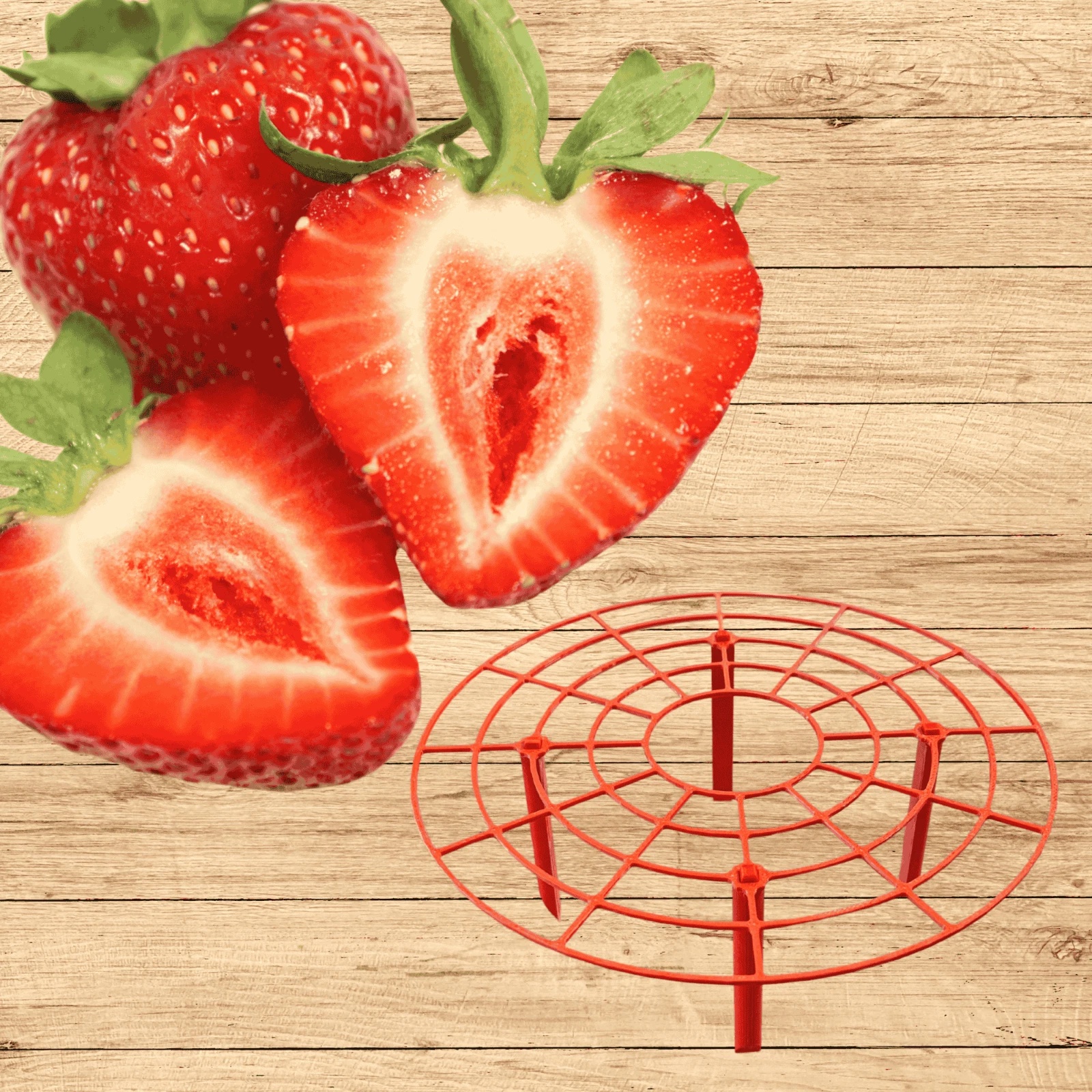 Everbearing Strawberry Plants + RED Strawberry Plant Supports