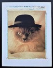 Vtg Long Hair Cat in Hat Blank Note Card Antique Look Funny Notecard Himalayan