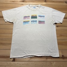 Vintage 1996 Hanes Art Institute of Chicago C...