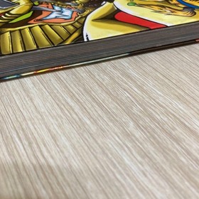 Fighting Vipers Biting The Vipers 2 Guide Sega Saturn 1996