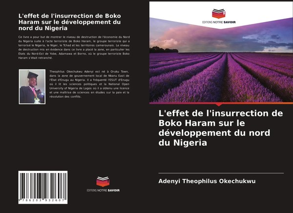 Adenyi Theophilus Okechukwu | L'effet De L'insurrection De Boko Haram Sur Le...-image