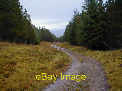 Foto 6x4 Entfernte Hirsche Scardroy Burn Kommt nach Strathconnon mit c2000